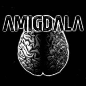 Amigdala