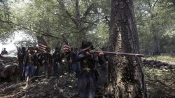 Скриншот к игре War of Rights