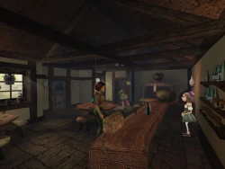 Zanzarah: The Hidden Portal Screenshots