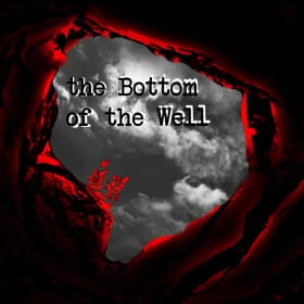 The Bottom of the Well