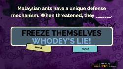 The Jackbox Party Pack 2 Screenshots