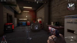 Скриншот к игре Anarchy: Wolf's law