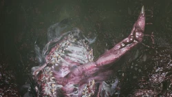 Vorax Screenshots