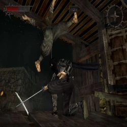 Shinobido: Way of the Ninja Screenshots