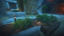 The Spirit and the Mouse Screenshots