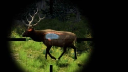 Cabela's Big Game Hunter 2010 Screenshots