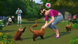 Скриншот к игре The Sims 4: Cats & Dogs