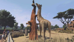 Zoo Tycoon (2013) Screenshots