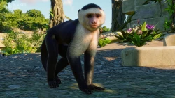 Planet Zoo: South America Pack  Screenshots