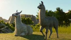 Planet Zoo: South America Pack  Screenshots