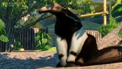 Planet Zoo: South America Pack  Screenshots