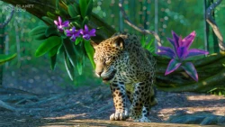 Planet Zoo: South America Pack  Screenshots