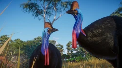 Скриншот к игре Planet Zoo: Australia Pack