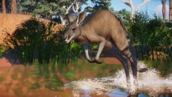 Скриншот к игре Planet Zoo: Australia Pack