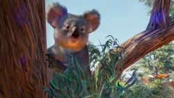 Скриншот к игре Planet Zoo: Australia Pack