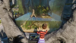 Скриншот к игре Planet Zoo: Aquatic Pack