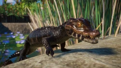 Скриншот к игре Planet Zoo: Aquatic Pack