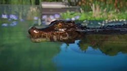 Скриншот к игре Planet Zoo: Aquatic Pack