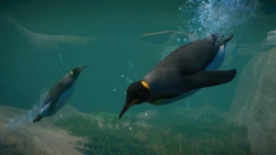 Planet Zoo: Aquatic Pack Screenshots