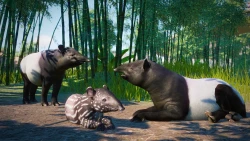 Planet Zoo: Southeast Asia Animal Pack Screenshots