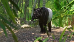 Скриншот к игре Planet Zoo: Southeast Asia Animal Pack