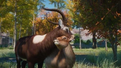 Planet Zoo: Wetlands Animal Pack Screenshots