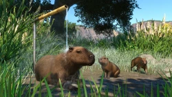 Planet Zoo: Wetlands Animal Pack Screenshots