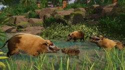 Скриншот к игре Planet Zoo: Tropical Pack