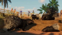 Скриншот к игре Planet Zoo: Arid Animal Pack