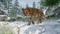 Скриншот к игре Planet Zoo: Conservation Pack