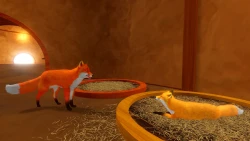 Скриншот к игре Kit's Quest