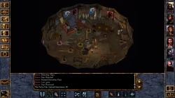 Скриншот к игре Baldur's Gate II: Shadows of Amn