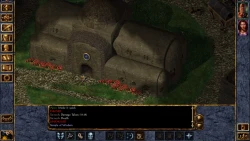 Baldur's Gate II: Shadows of Amn Screenshots