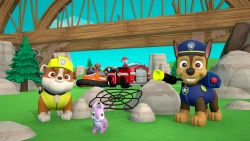 Paw Patrol: On a Roll! Screenshots