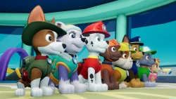 Paw Patrol: On a Roll! Screenshots