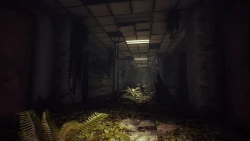 What Happened Screenshots