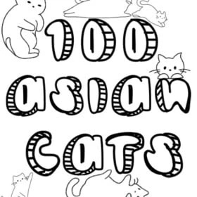 100 Asian Cats