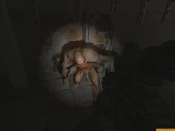 Скриншот к игре S.T.A.L.K.E.R.: Shadow of Chernobyl