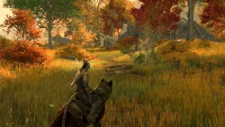 Скриншот к игре The Elder Scrolls Online: Gold Road