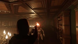 Скриншот к игре Despair: Blood Curse