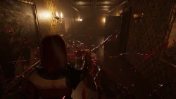 Despair: Blood Curse Screenshots