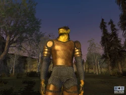Скриншот к игре EverQuest 2