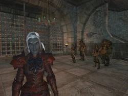 Скриншот к игре EverQuest 2