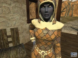 Скриншот к игре EverQuest 2