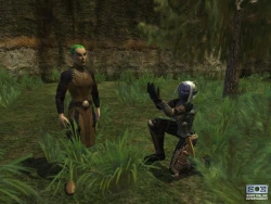 Скриншот к игре EverQuest 2