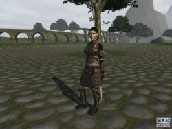 Скриншот к игре EverQuest 2