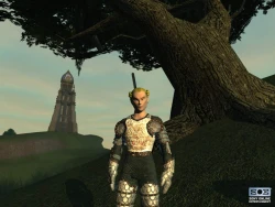 Скриншот к игре EverQuest 2