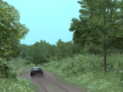 Скриншот к игре Richard Burns Rally
