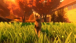Copycat Screenshots