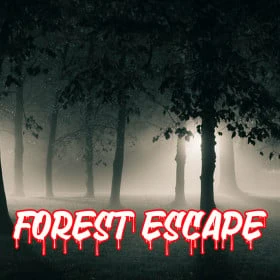 Forest Escape